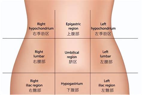 胃陣痛|胃痛症狀判斷10胃病，胃痛位置、吃飽或空腹胃痛不同。